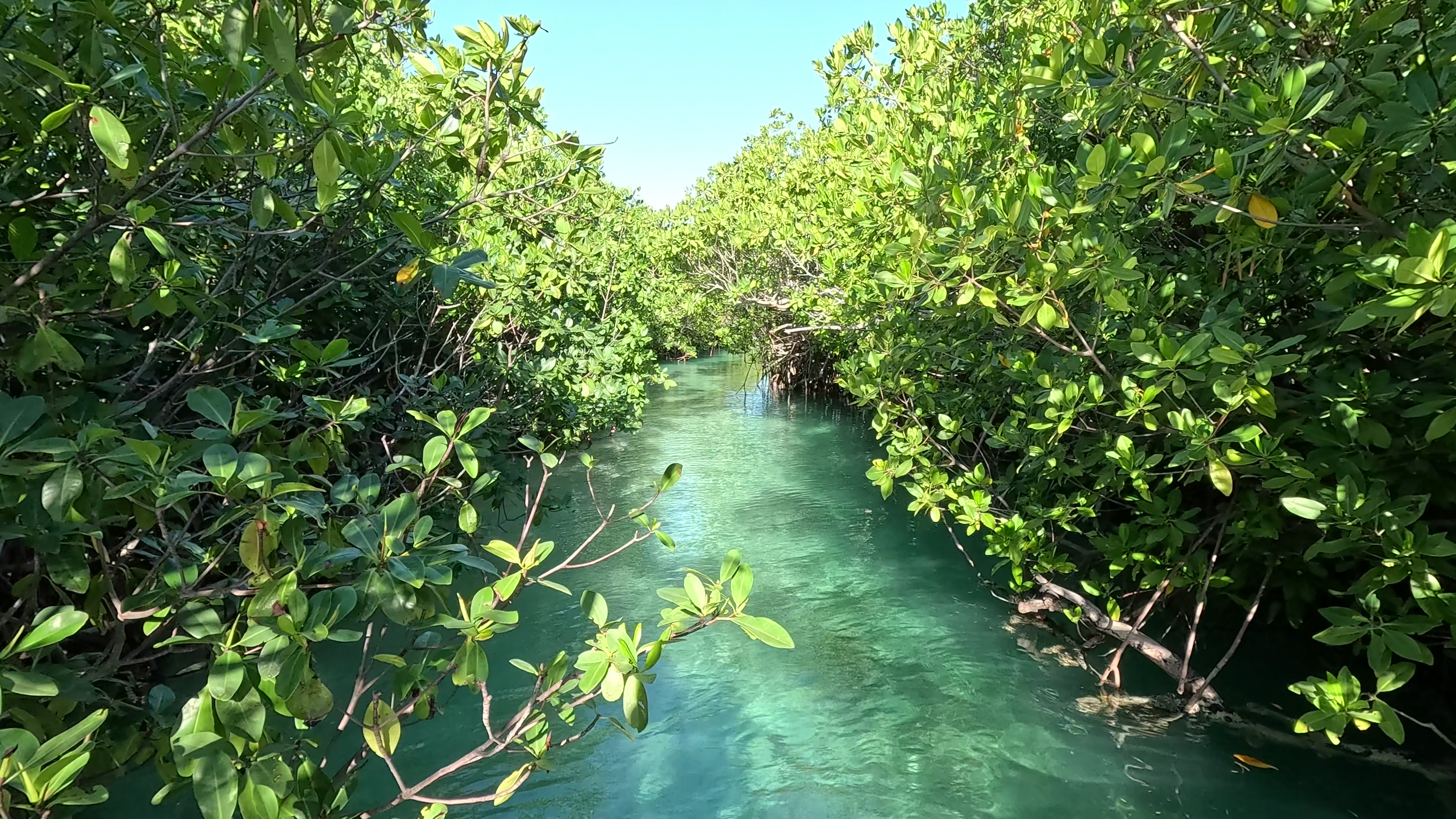 Sparkling Nights & Breathtaking Moments